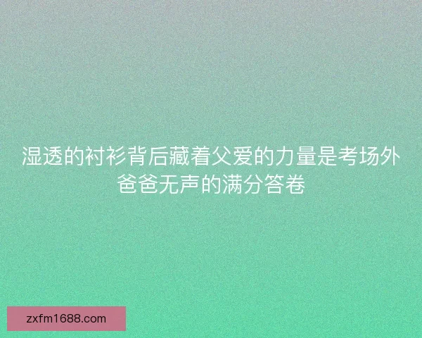 湿透的衬衫背后藏着父爱的力量是考场外爸爸无声的满分答卷